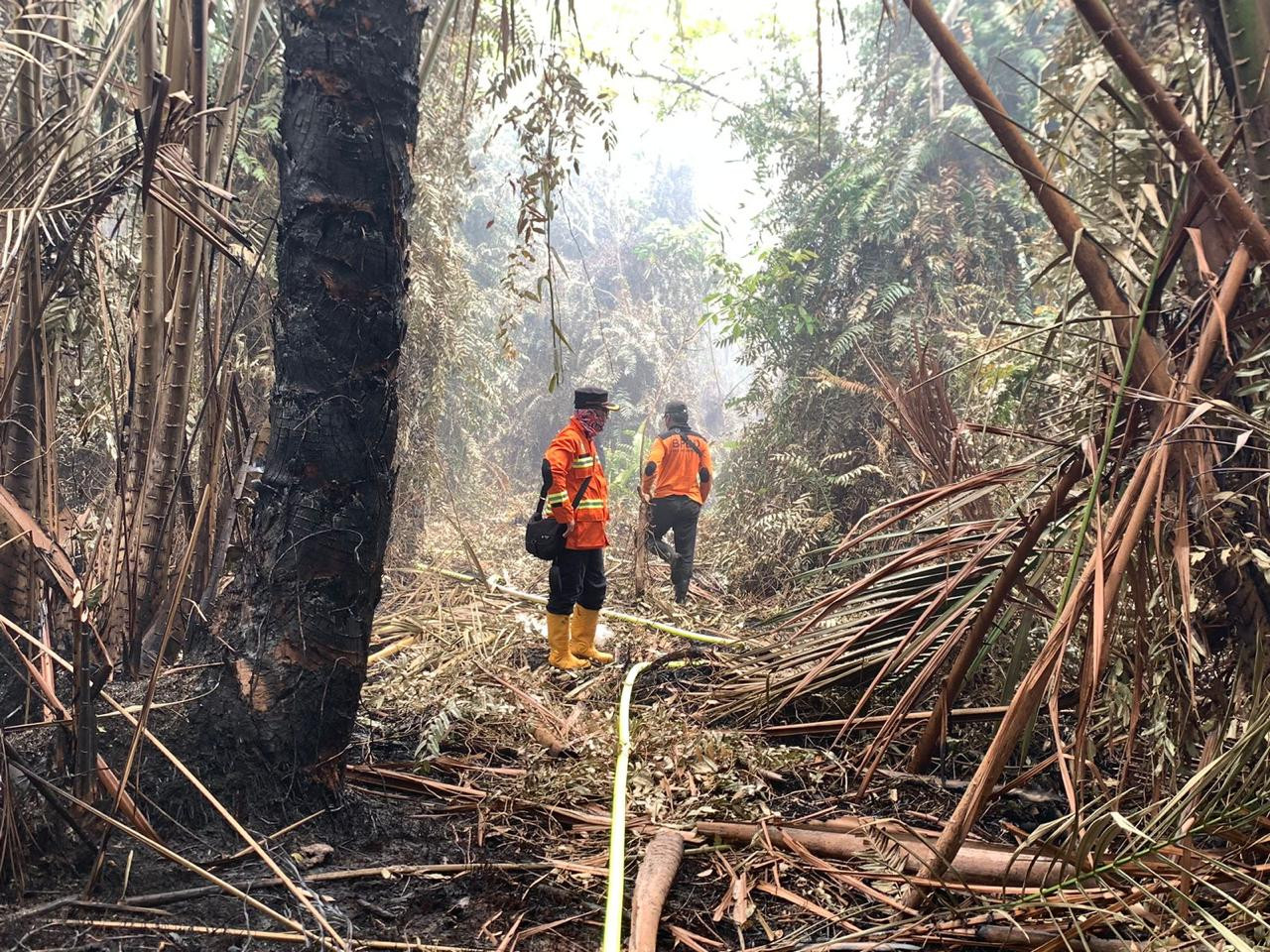 Waspada! Hotspot Karhutla Mulai Terdeteksi di Riau