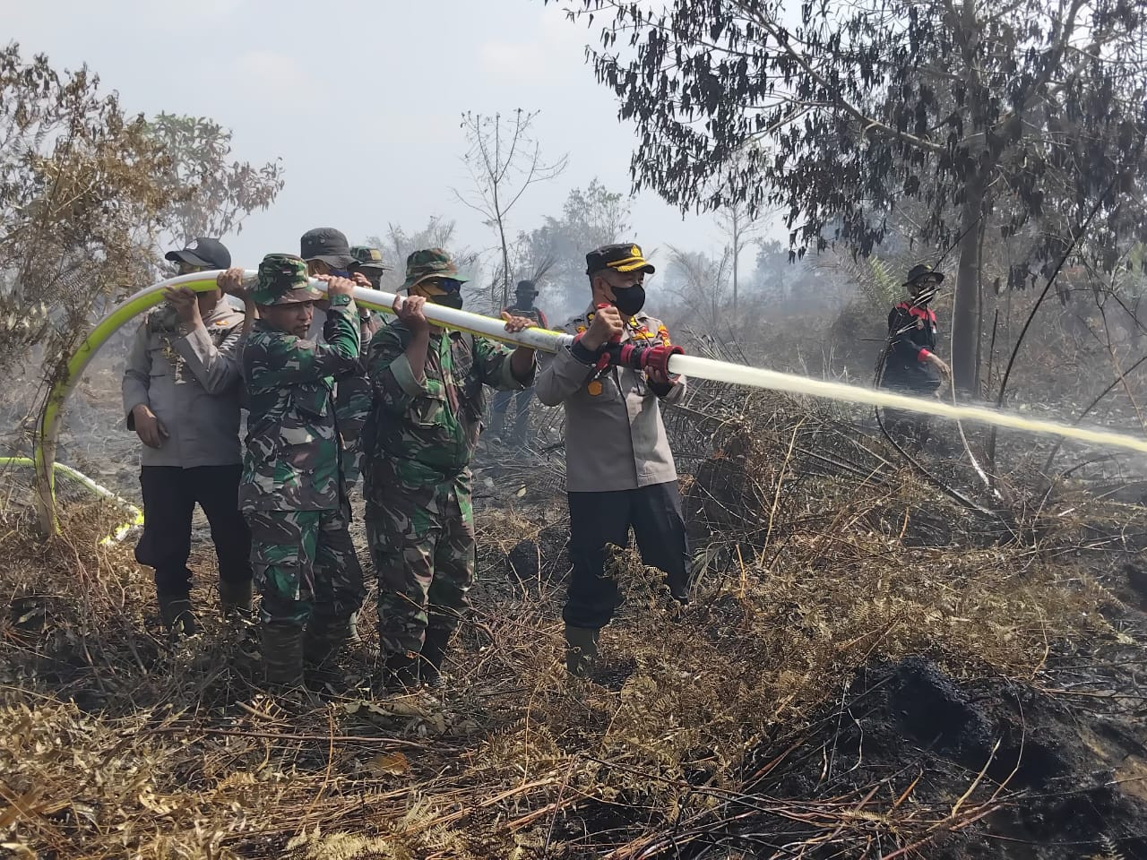 Total 311 Hektare Lahan di Indragiri Hulu Terbakar