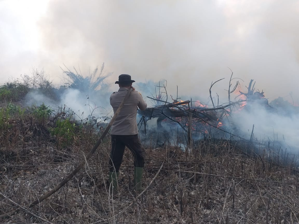 20 Hektar Lahan Gambut di Pelalawan Terbakar, 111 Personel Dikerahkan Padamkan Api