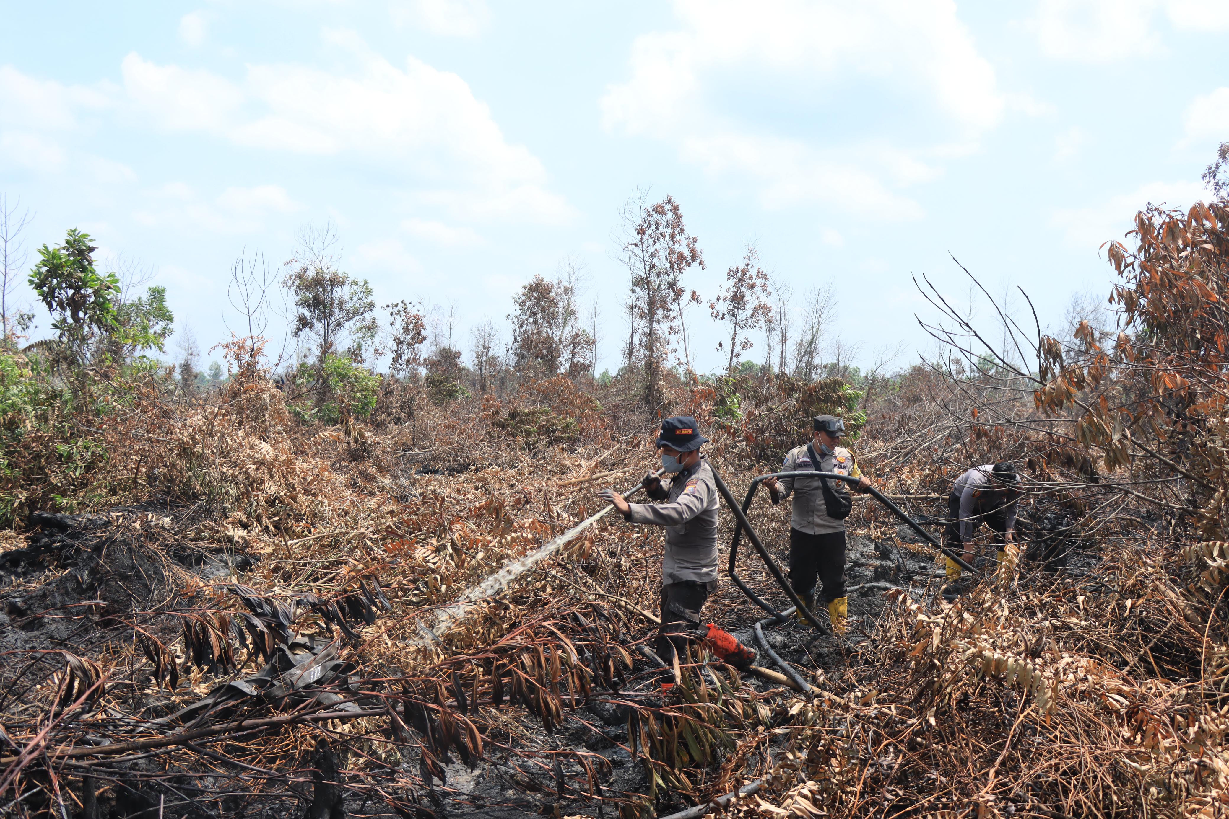 BMKG Deteksi 12 Hot Spot Karhutla di Riau, Indragiri Hulu Terbanyak