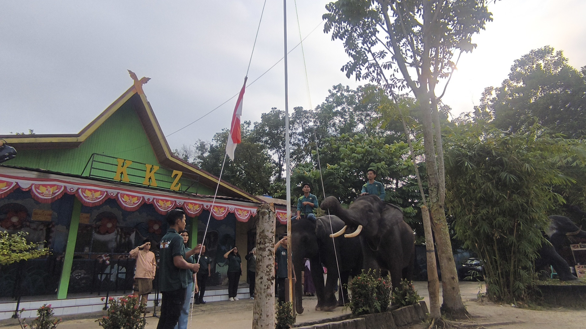 Dua Gajah Jinak di Kebun Binatang Kasang Kulim Jadi Penggerek Bendera