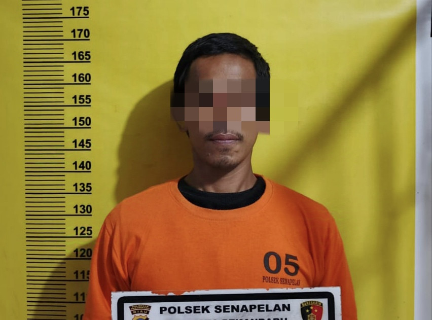 Curi Besi Pemanggang Ikan, Pria Ini Diringkus Polsek Senapelan