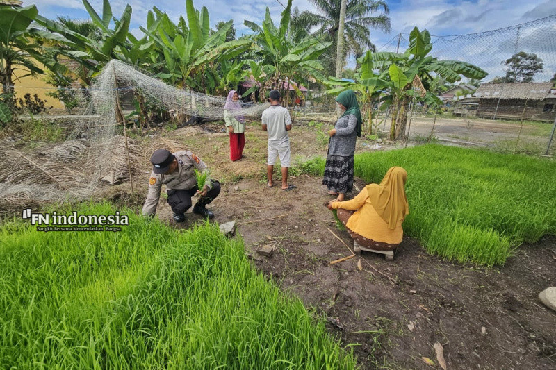 Disela Semai Bibit Padi, Polsek Siak Kecil Sampaikan Pilkada Damai Kepada Petani