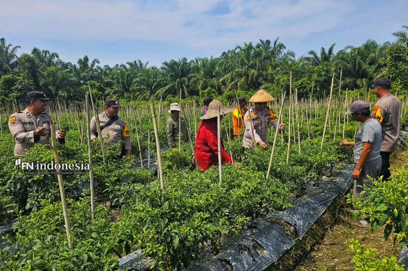 Polsek Siak Kecil Dukung Swasembada Pangan dan Serukan Pilkada Damai