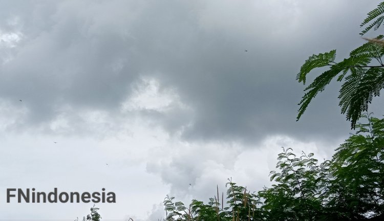 image_750x_635626393359a.jpg