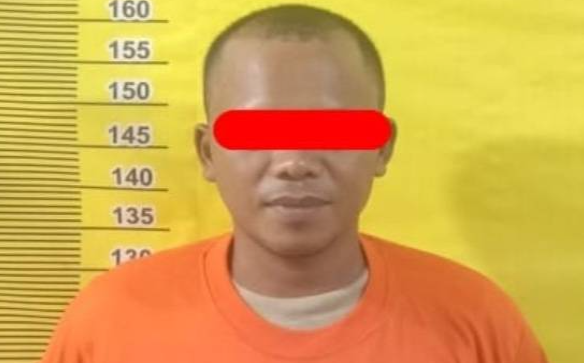 tualang.PNG