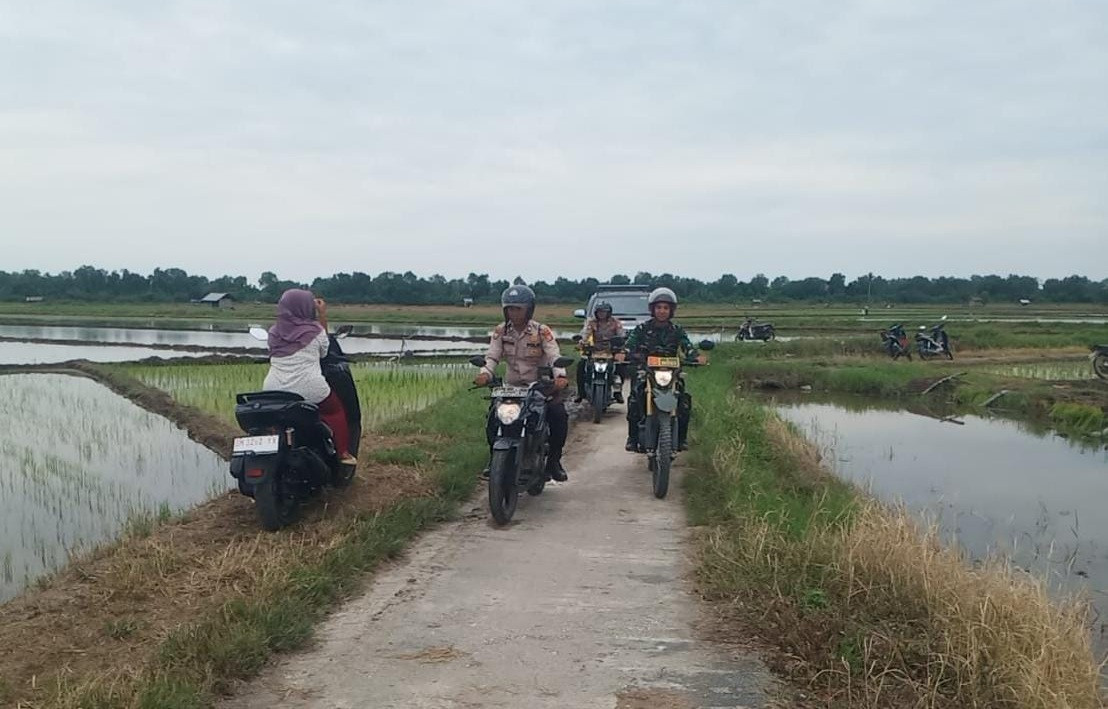 Lewati persawahan Polsek Sabakauh Sambangi Warga Sampaikan Pesan Pemilu Damai