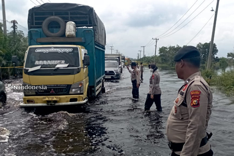 Banjir Jalintim Pelalawan, Flyover Usulan Solusi Jangka Panjang