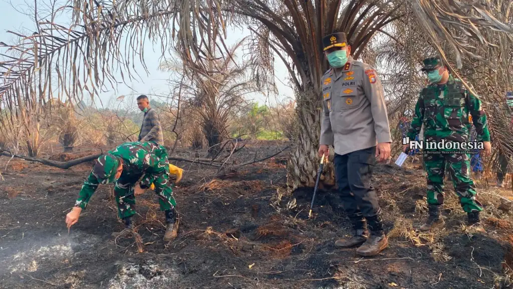 Kapolda Riau dan Pangdam Cek Karhutla Siak, 4 Wilayah Riau Jadi Atensi Penanganan Pemadaman
