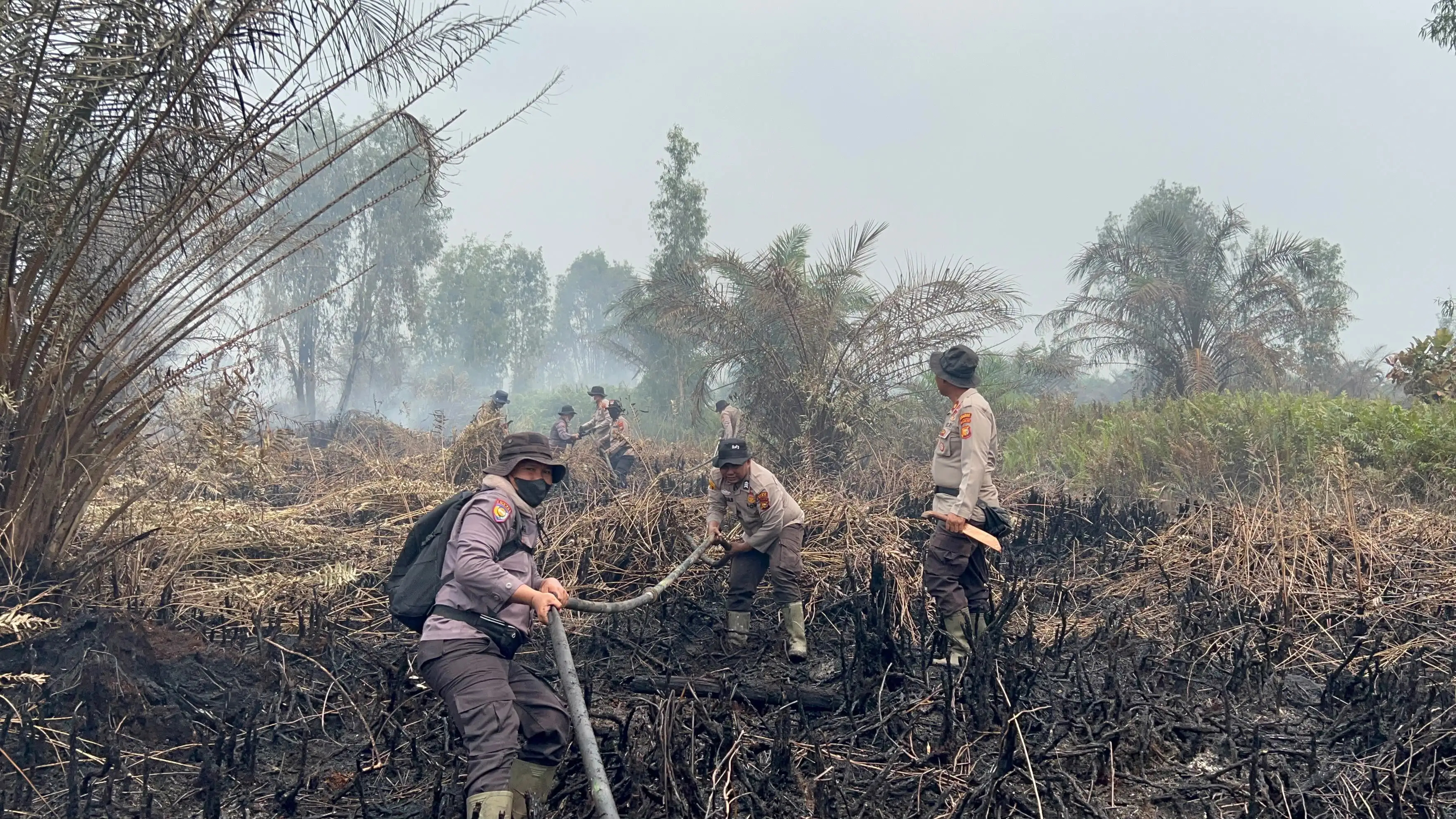 Karhutla di Dayun Siak Terus Ditangani, Water Bombing hingga Alat Berat Turun ke Lokasi