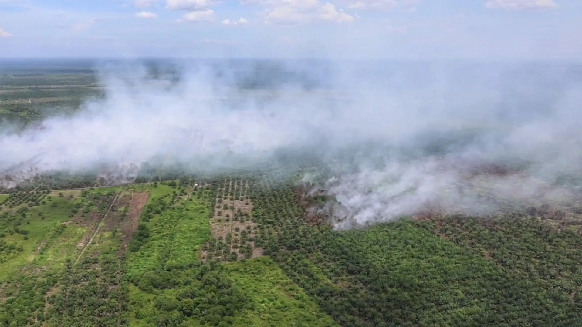 Cuaca Ekstrem dan Embung Mengering, Pemadaman Karhutla 15 Ribu Hektar di Riau Terkendala Angin Kencang